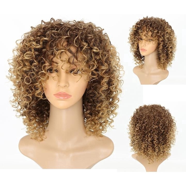 Special Short Synthetic Fiber Hair Beauty Style Curly Wigs Afro