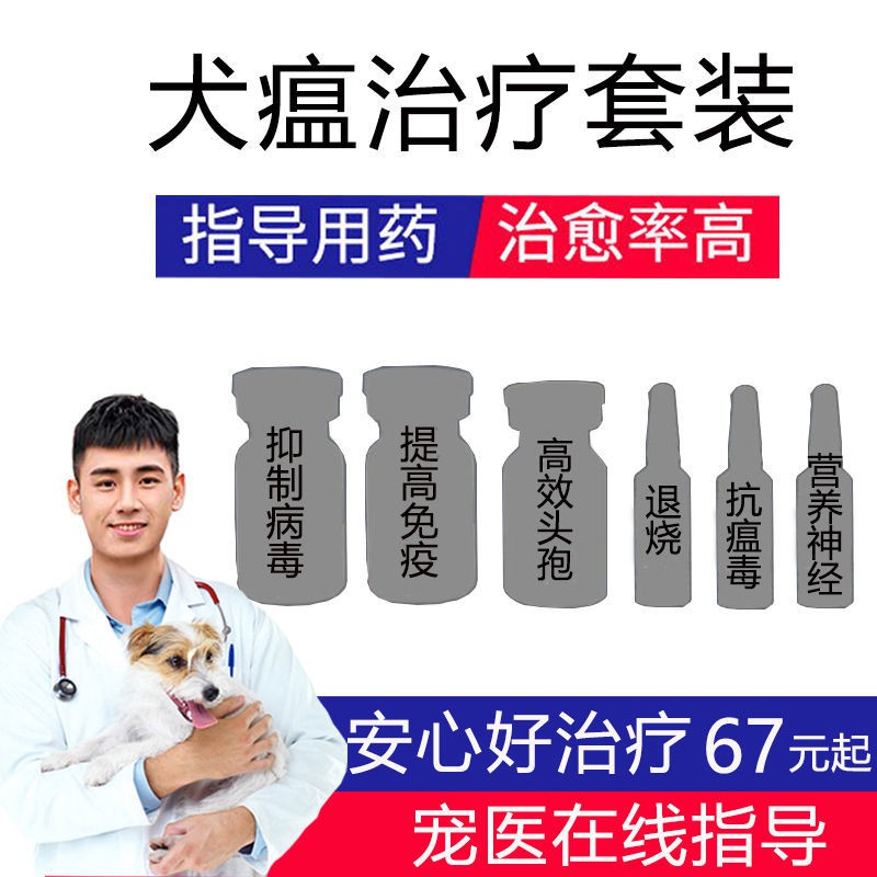 Dog Canine Distemper Treatment Viral Infection Fever Convuls狗狗犬瘟治疗病毒感染发烧抽搐呕吐 食欲不振犬瘟血清单抗犬瘟治疗uggk85hbgj7 21 Shopee Malaysia