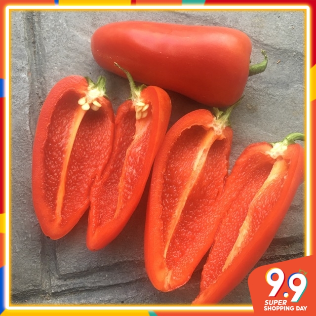 10pcs Seedless mini sweet Jalapeno crunchy pepper( almost seedless) Shopee Malaysia