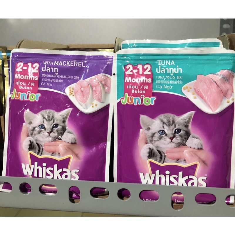 Whiskas Kitten Food 80g Shopee Malaysia