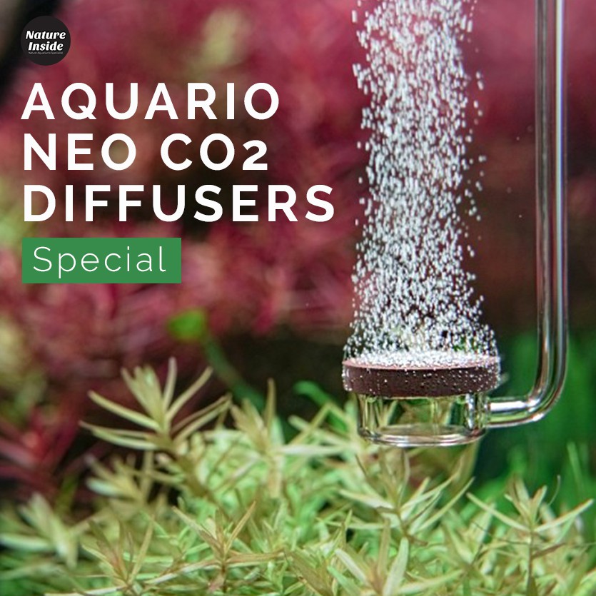 Aquario Neo Co2 Diffuser Special Shopee Malaysia