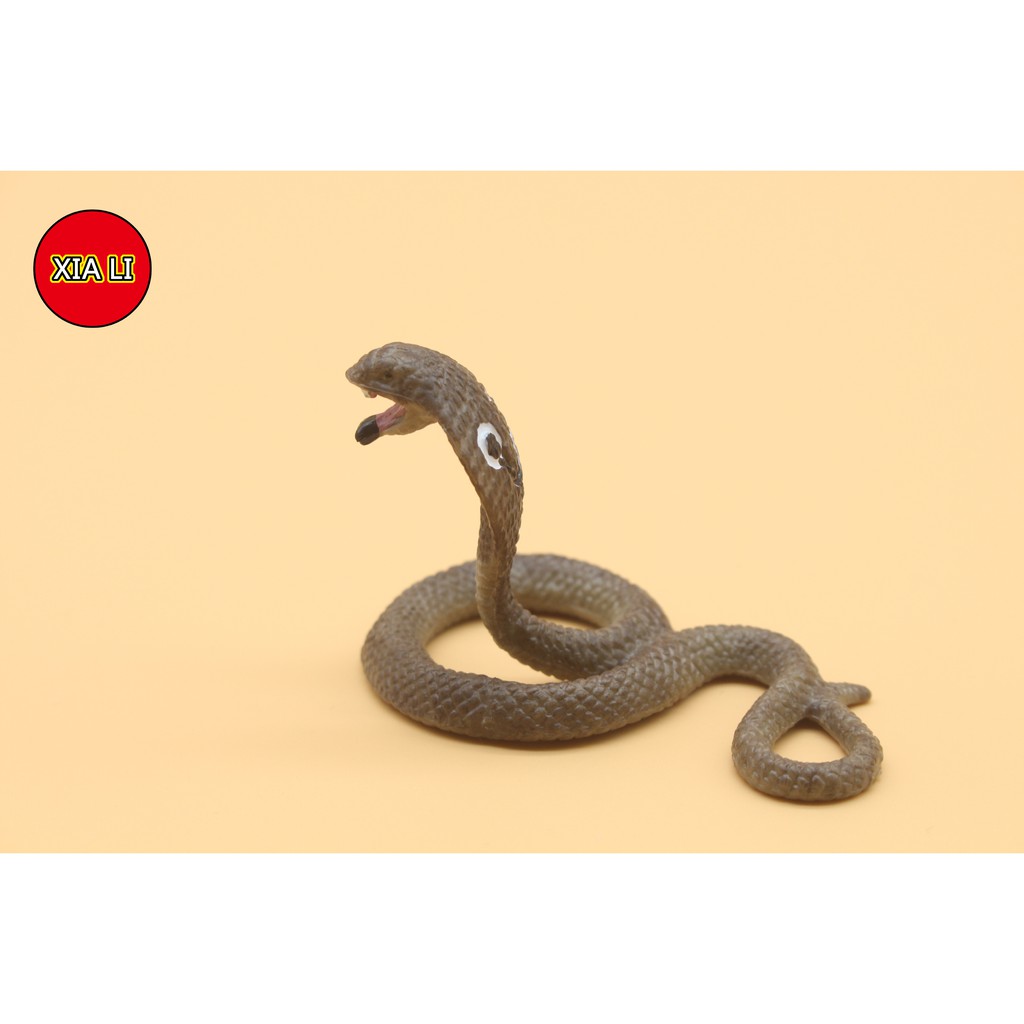 【Spot】Insect Simulation Animals Model Cobra Action Figures Figurine Early Education Educational Toys For Kid Gift