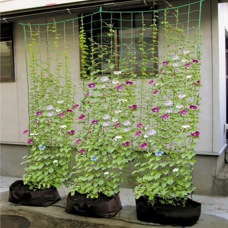 1pc 90*180cm Nylon Garden Netting Morning Glory Flower Vine Climbing