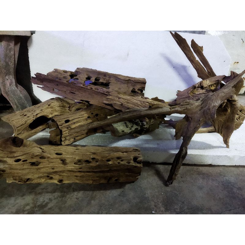 Driftwood Kayu Aquarium Malaysian Driftwood Mangrove Shopee Malaysia