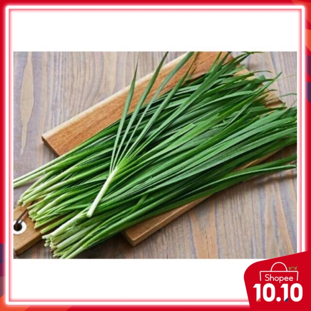 20pcs seeds Daun Kuchai home made/ chives seeds biji kucai | Shopee ...