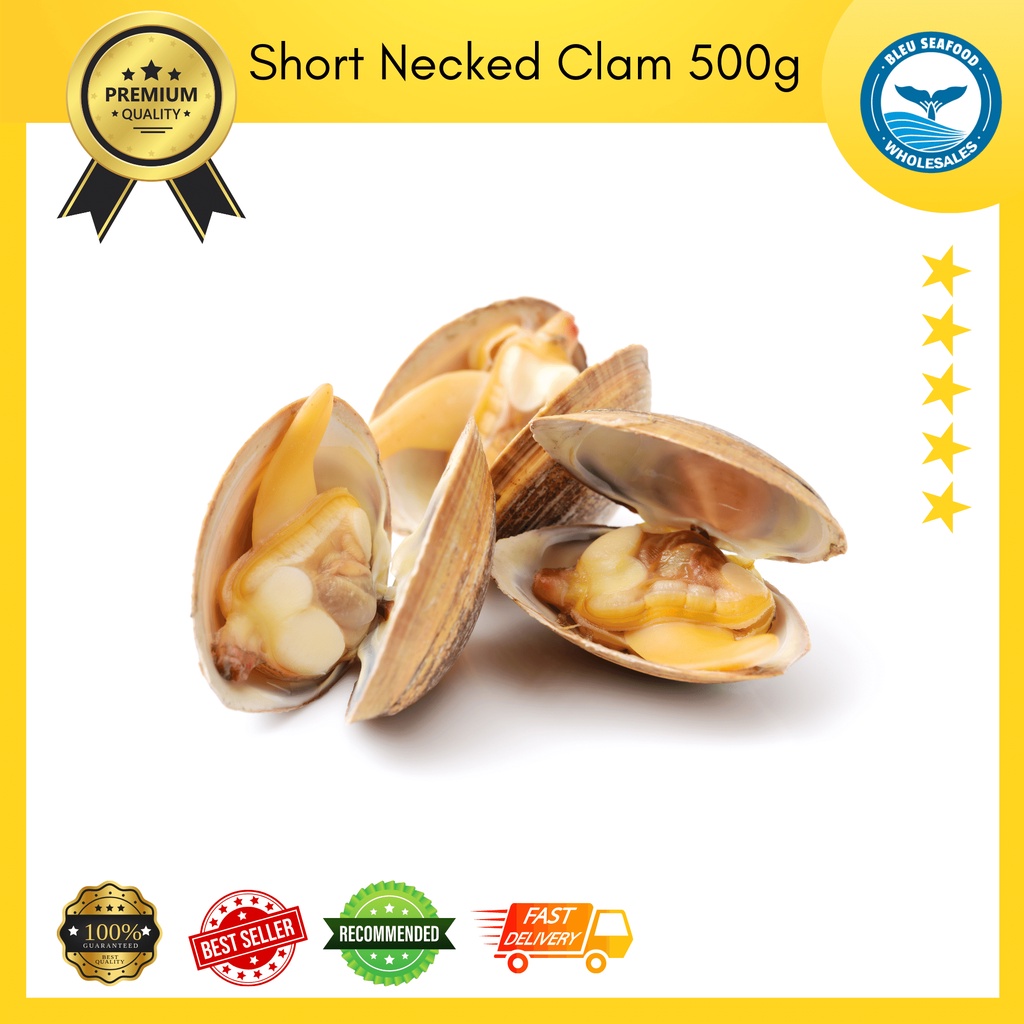 Short Neck Clam / Lala / Kerang Asari (500g) | Shopee Malaysia