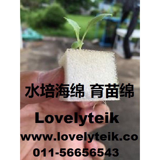 无土栽培技术绵水培海绵育苗绵水耕种植绵 Shopee Malaysia