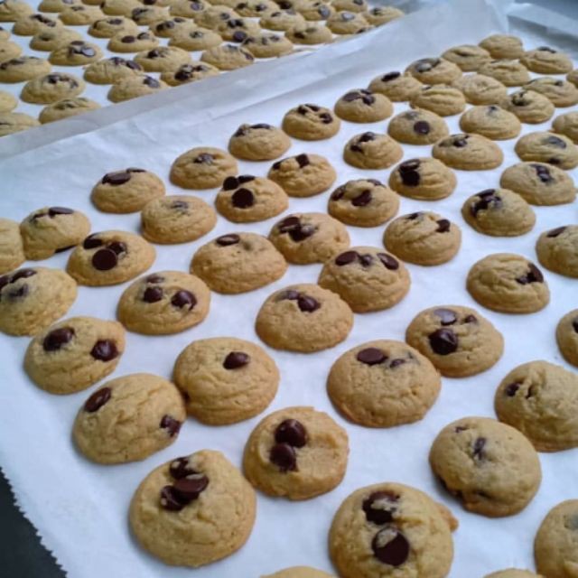 belgium biscuits cookie