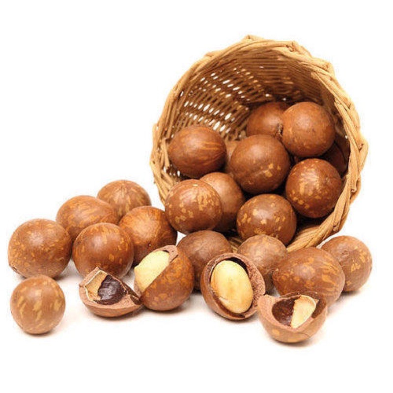 macadamia nut 1kg/500g ready to ship Shopee Malaysia