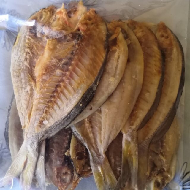 ikan