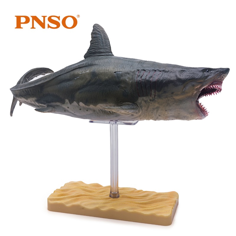 pnso megalodon toy