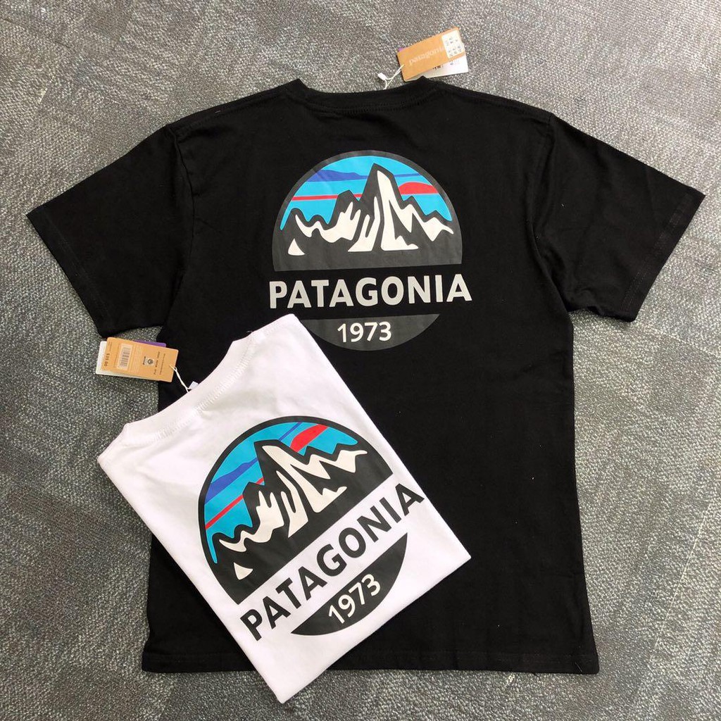 patagonia 1973 t shirt