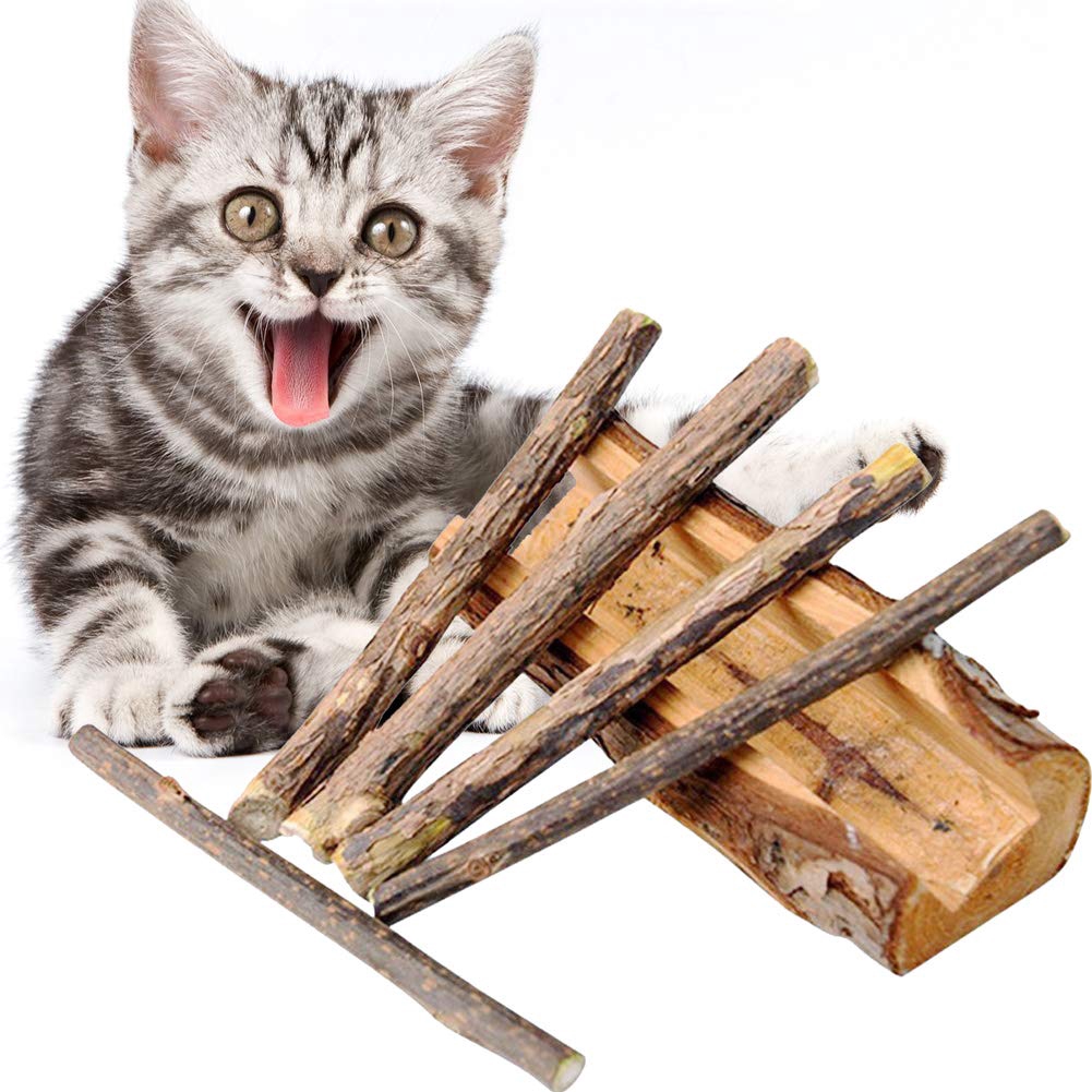 cat dental chew sticks
