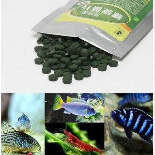 Takara Sakana Mix Fish Food 100g  Shopee Malaysia