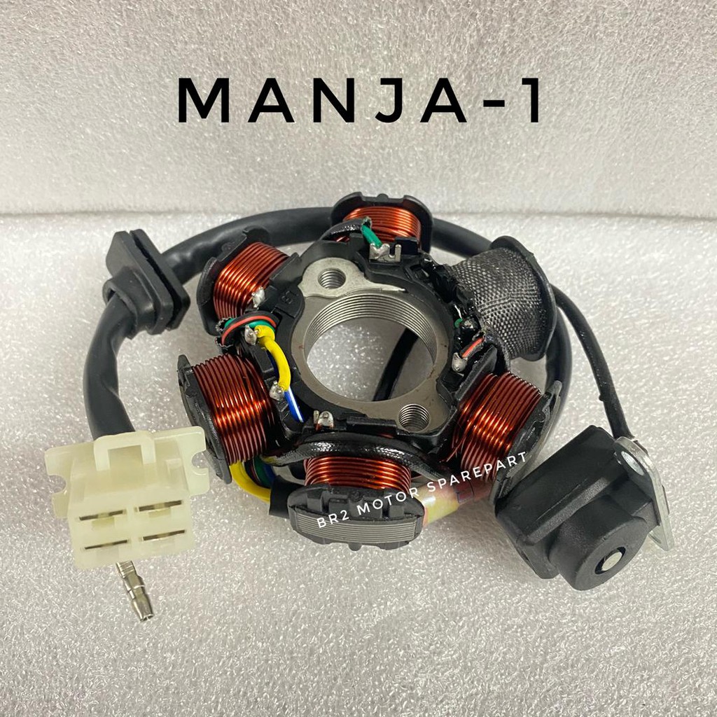 COMEL MANJA-1 FIELD COIL MAGNET COIL (API)