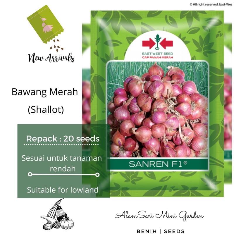 30 Seeds Biji Benih Bawang F1 Hibrid Bawang Merah Sanren F1 Repack