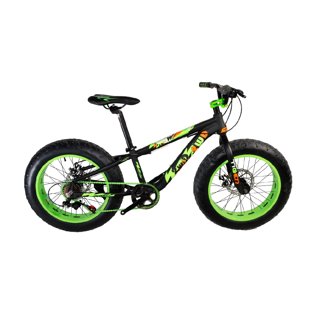 fat bike 20