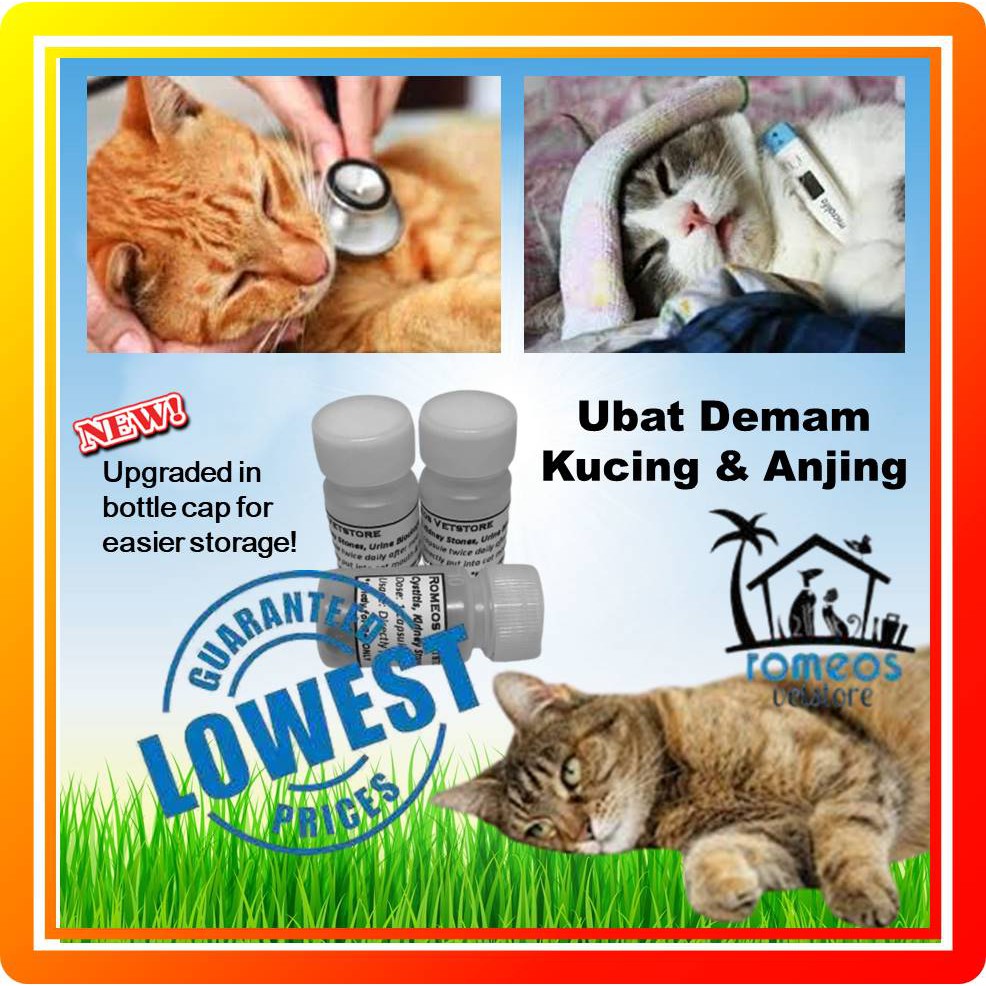 🔥Harga Termurah🔥 Ubat Demam Selsema Kucing u0026 Anjing / Fever 