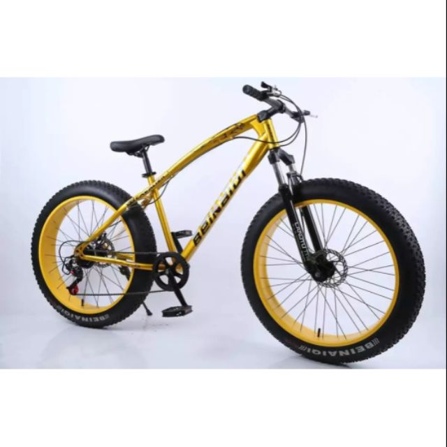 fat bike mountain bike