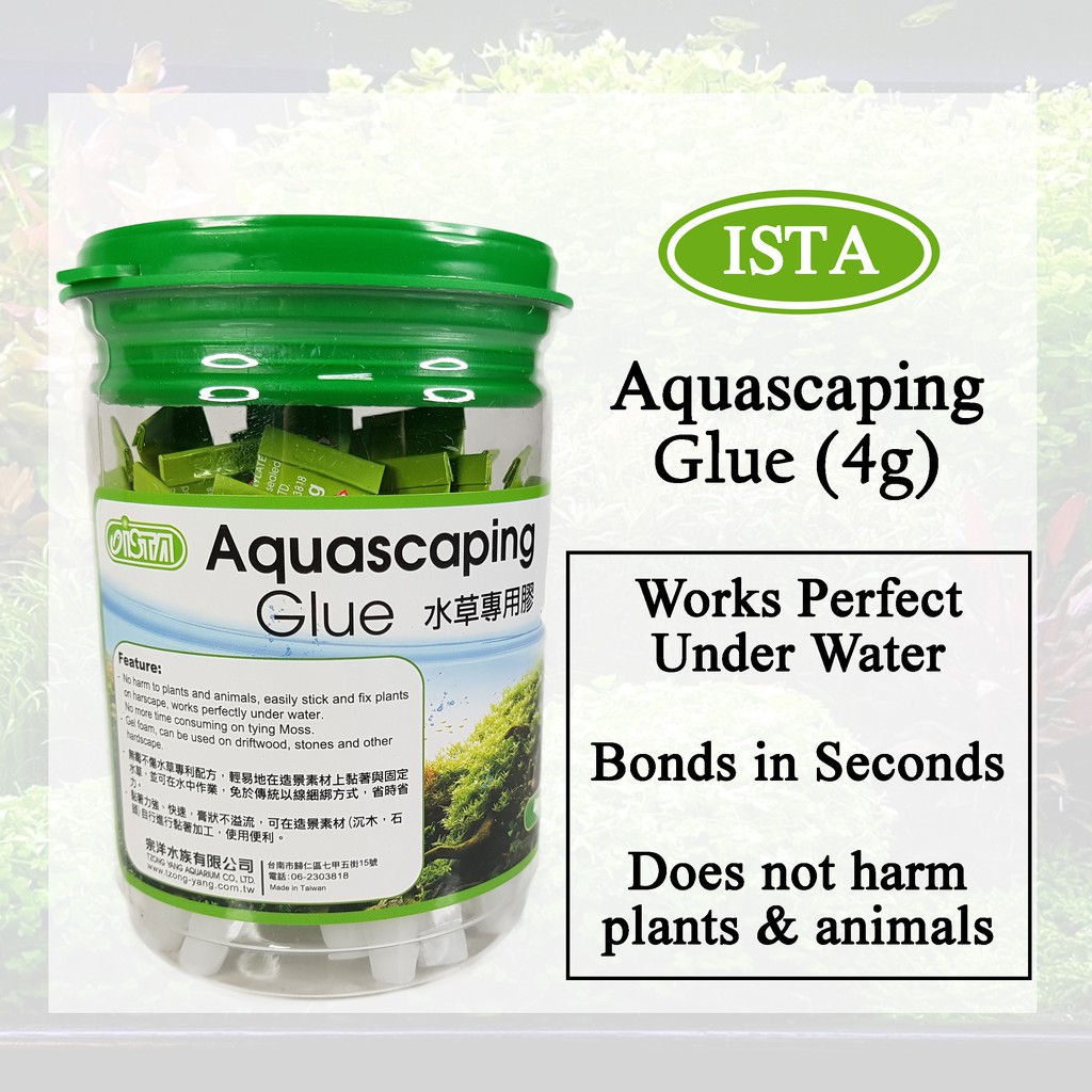 aquascaping glue