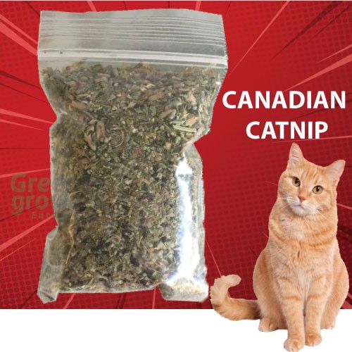 Buy Premium Canadian Catnip Extra Strong Smell Coarse Cut 5g/10g 