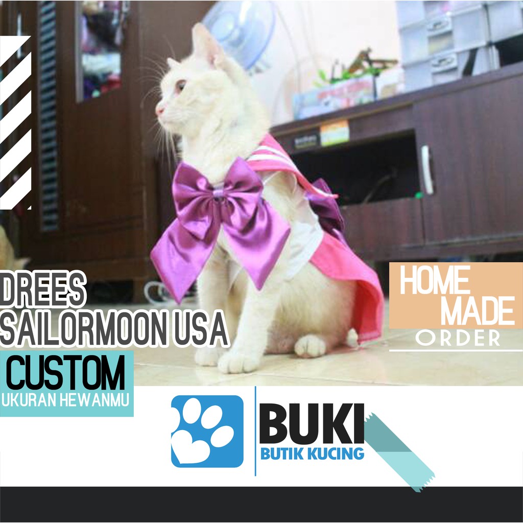 cheap cat clothes