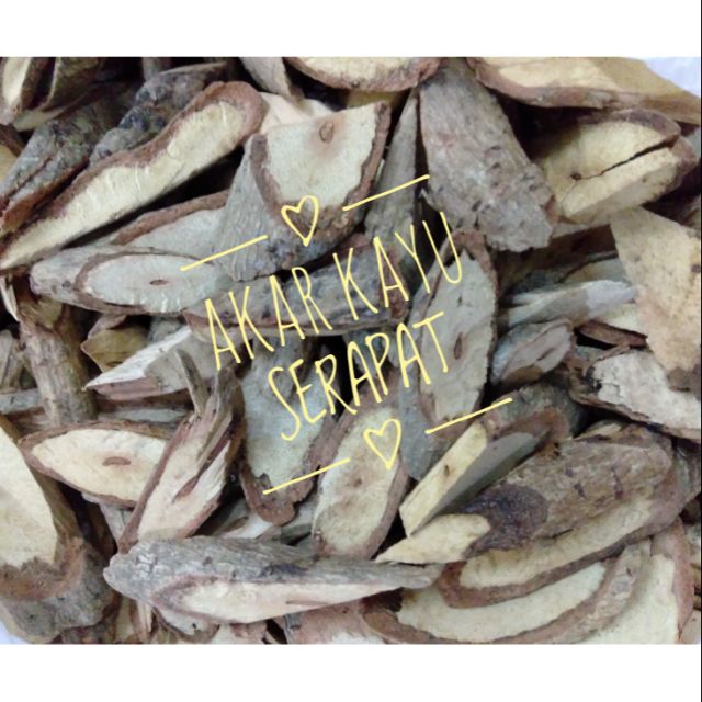  AKAR KAYU  SERAPAT PARAM ERIA POLYNEURA 50GM Shopee Malaysia