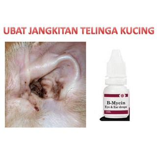 UBAT JANGKITAN TELINGA KUCING   Shopee Malaysia