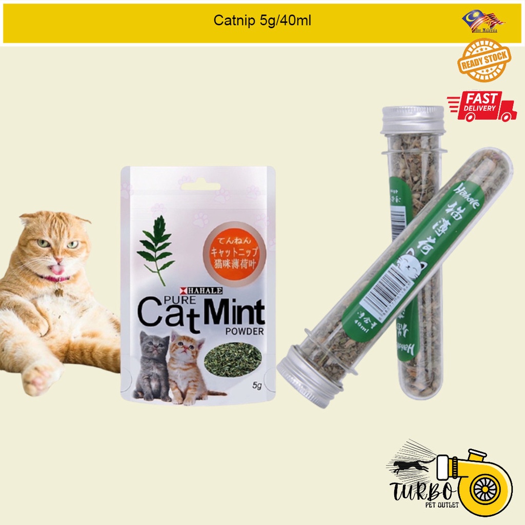 Cat Mint Catnip For Cat 5G/40ML Shopee Malaysia