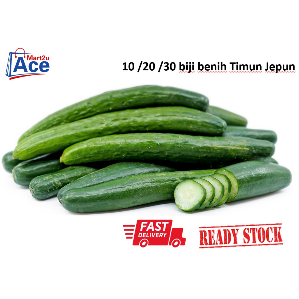 Rs Japanese Cucumber Seed 30 20 10pcs Benih Timun Jepun Panjang Dan Banyak Hasil Shopee Malaysia