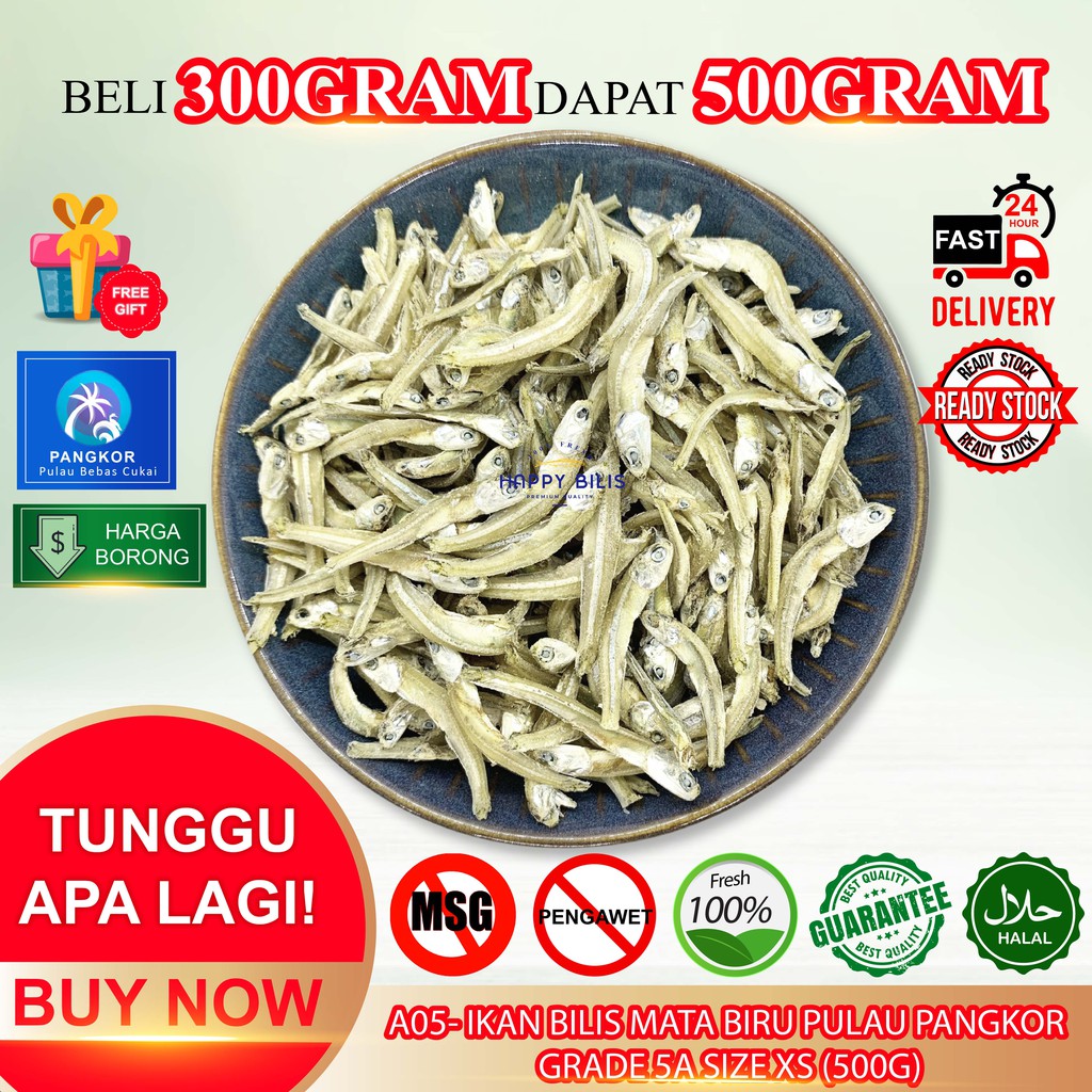 Buy Buy Win Ikan Bilis Rangup Mata Biru Pulau Pangkor Grade 5a Saiz Xs 500gram Seetracker Malaysia