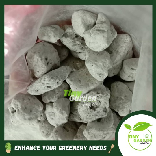 Pumice Stone for cactus succulents 浮石 200g Shopee Malaysia