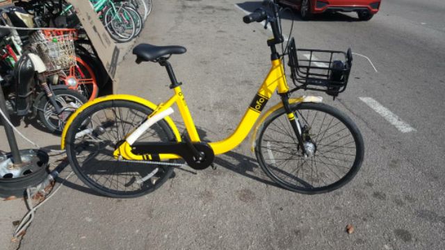 ofo bike cost