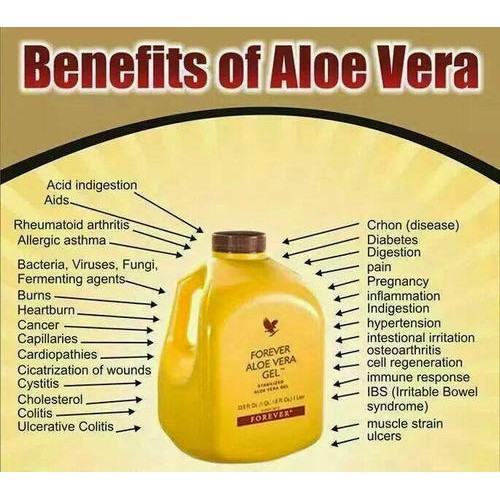 drinken brandwond bevind zich forever aloe vera juice benefits,Limited Time Offer,aksharaconsultancy.com