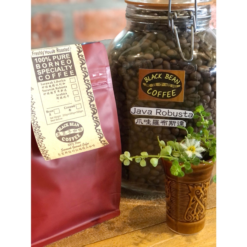 [Black Bean Coffee] Java Robusta 爪哇罗布斯达 250g Freshly roasted specialty coffee