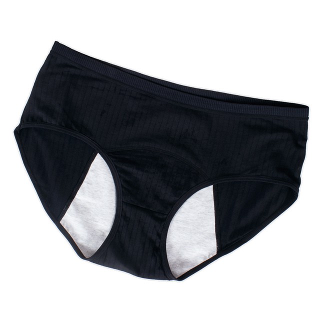 Mis Claire Plus Size Anti-Leak Panties (2 pairs per pack) (Haidee ...