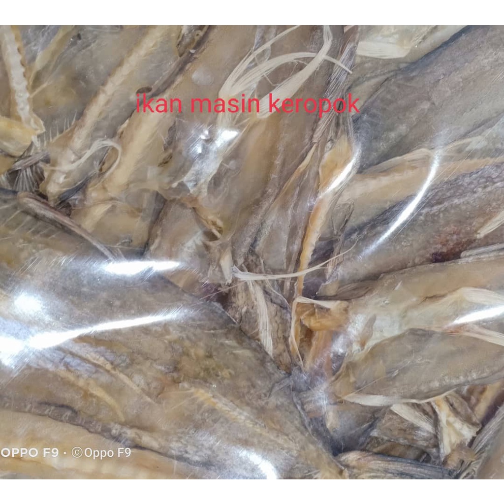 Ikan Masin Keropok Sabah 100gm Rm15 00 Shopee Malaysia