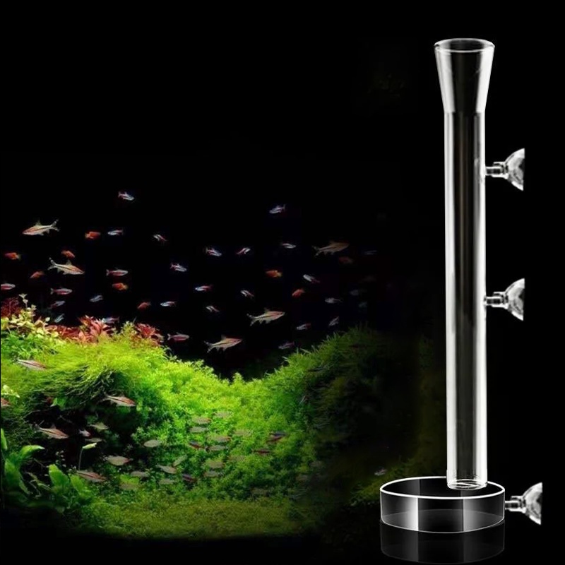 A001 Shrimp Fish Feeding Tube Glass Tiub Udang Ikan Makan Aquarium