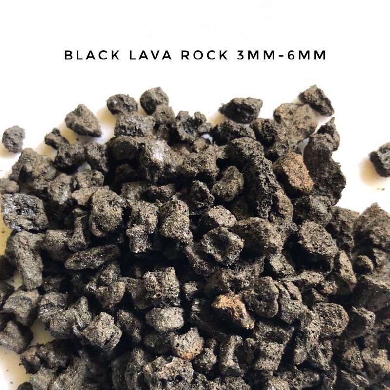 Black Lava Rock Lava Substrate Inert Clay Substrate Bio Media