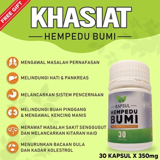 Hempedu Bumi Kapsul Hempedu Bumi (Membantu Menurun Bacaan Kencing Manis