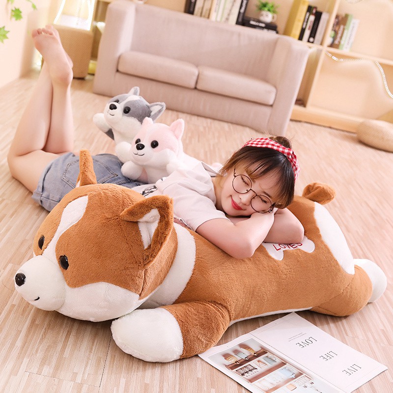 big corgi plush