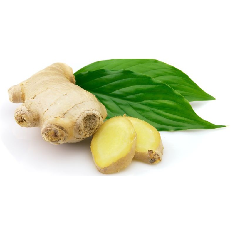 Teh Halia Loose Pack 25 Sachet 50 Gram Shopee Malaysia