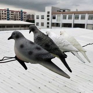 Turtledove Decoy Dove Scare Protect Garden Bionic Animal Bait Hunting Decoy 