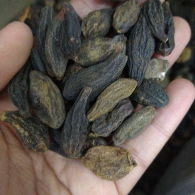 Buah Keliku Buah Kk Buah Kelentik Kering Buah Langkau Shopee Malaysia