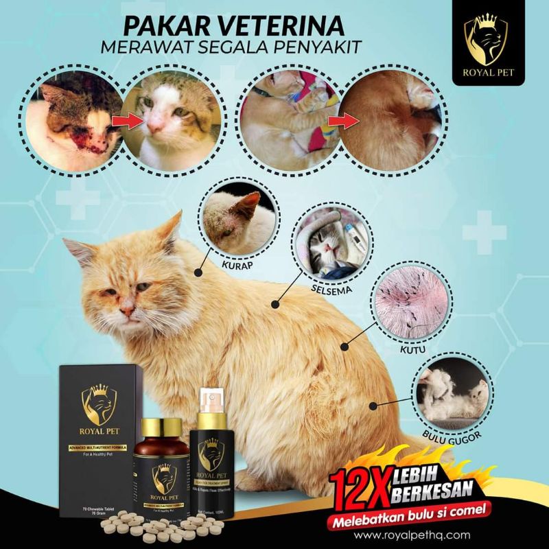 Buy [ORIGINAL] ROYALPET PRODUK KHAS UTK KUCING kurap, fungus 