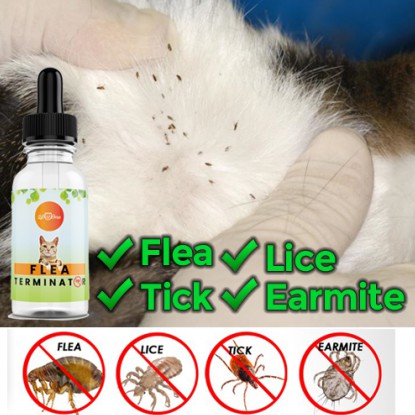 Ubat Cacing Kurap Kutu Hama Mata Kucing Dan Anti Flea Lice Tick Earmite For Pet Cat And Dog Eye Drop Shopee Malaysia