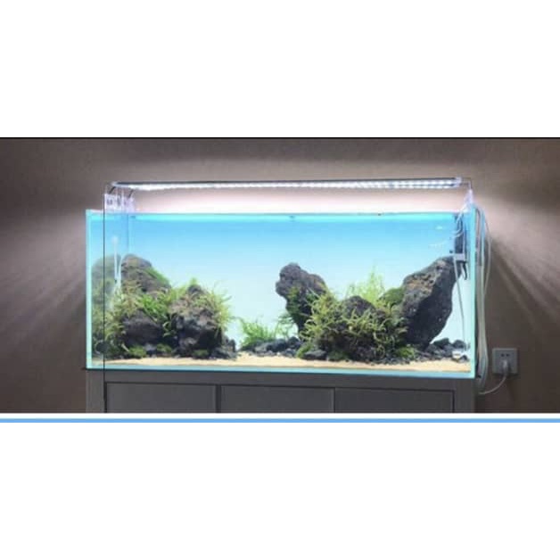 LATEST Sky Blue-White Gradient Aquarium Background Film For Aquascape  ###FREE TOOL Kit | Shopee Malaysia