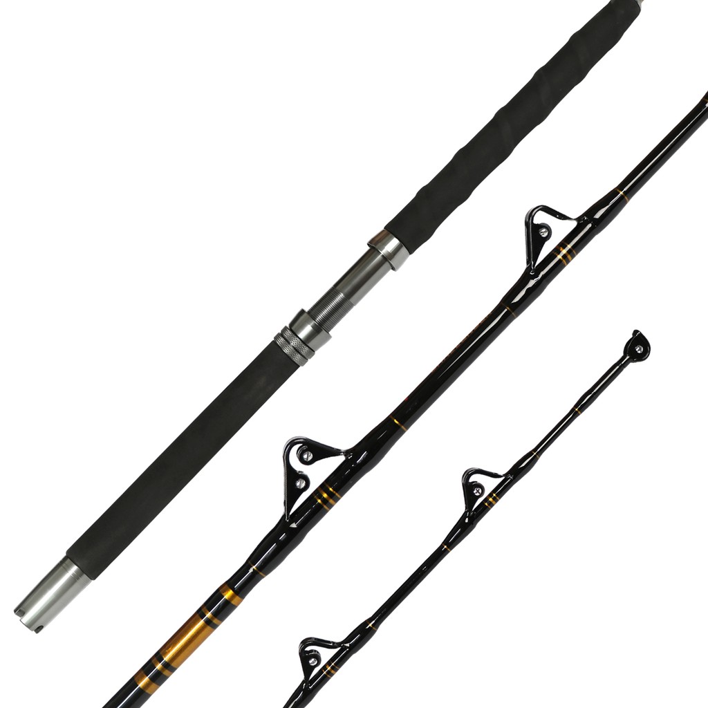 2 piece saltwater rods