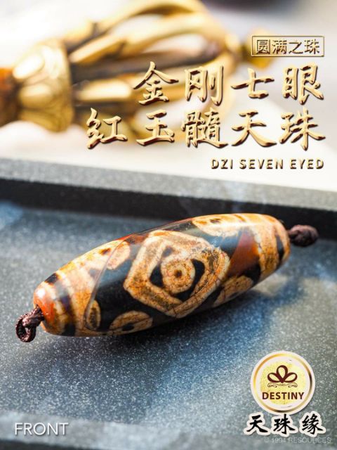 金刚七眼红玉髓老天珠RED JADE VARJA SEVEN EYED DZI