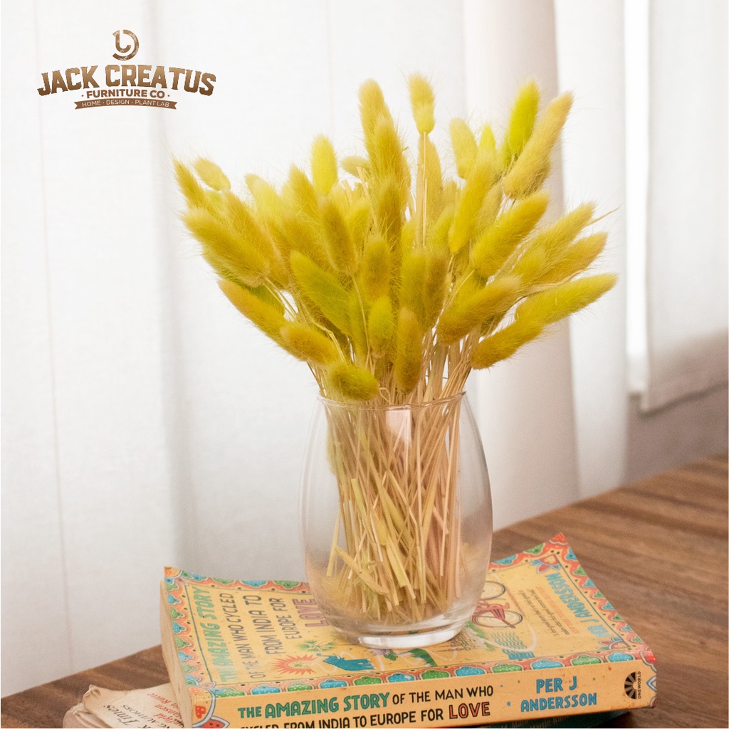 Jack Creatus, Online Shop Shopee Malaysia